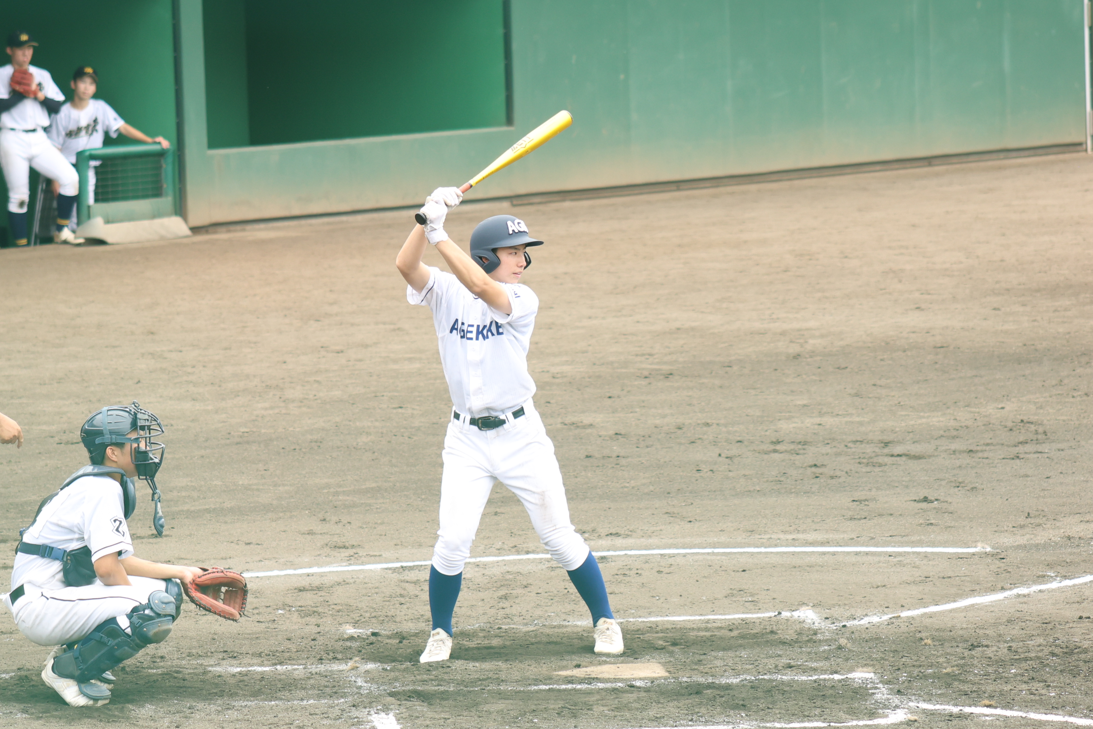 第79回秋季栃木県高等学校野球大会